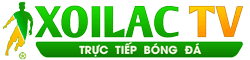 chiếc khăn gió ấm